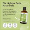Neem Oil for Plants & Cosmetics