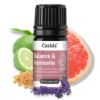 Fragrance Blend Balance & Harmony