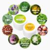 Counter display including 8x angelica balm & 8x thyme balm for children - B2B