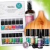 Casida Bestseller Gift Set