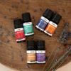 Casida Bestseller Gift Set