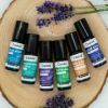 Casida Bestseller Gift Set