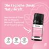 Spring Breeze Fragrance Blend