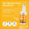 Casida Repair & Protect Complete Foot Care Set