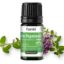 Organic Thyme Oil Linalool