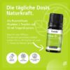 Vetiver Oil