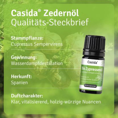 Organic Cypress Oil