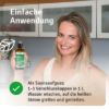 Sauna infusion forest air