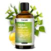 Sauna infusion Nordic Birch Forest