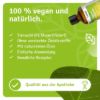 Sauna infusion Nordic Birch Forest