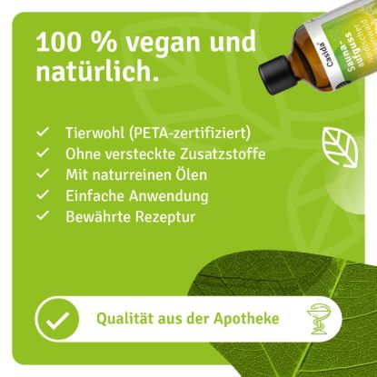 Sauna infusion Nordic Birch Forest