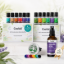 Premium Set mit 12 ätherischen Öle + Geschenke