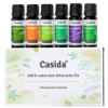 Premium Set mit 12 ätherischen Öle + Geschenke