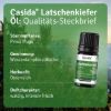 Latschenkieferöl