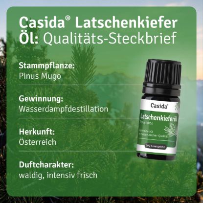 Latschenkieferöl