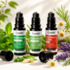 Sommer Roll-On Set - Protect & Care