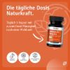 Vitamin B Komplex mit Coenzym Q10