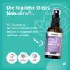 Angst & Sorgen loslassen Raumspray
