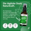 Tannenduft & Waldluft Raumspray
