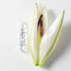 Renew & Activate Ampoules