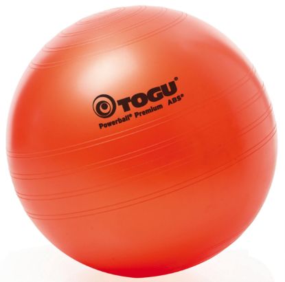 Powerball® Premium ABS® — silver / 45cm