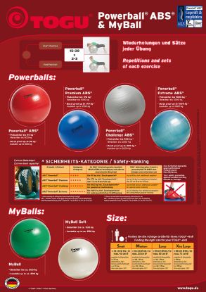 Powerball® Premium ABS® — silver / 55cm