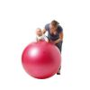 Theragym Ball ABS — 85 cm / blue purple