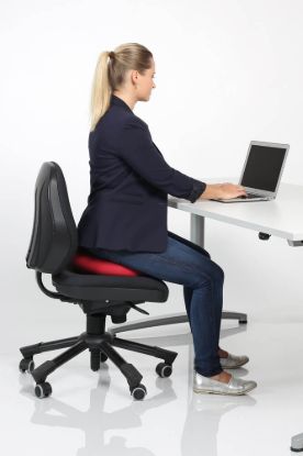 Dynair® Ballkissen® Senso® Plus — misty mountain