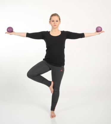 Toning® Ball — amethyst / 900 g