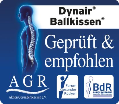 Dynair Ballkissen Senso 30 — aubergine