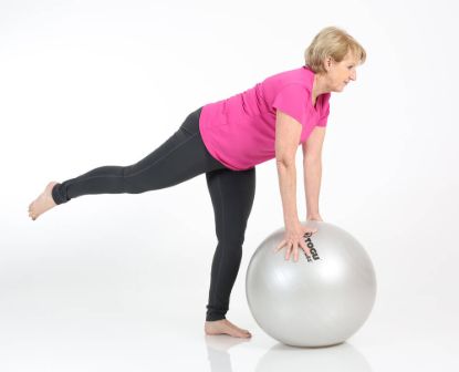 Powerball ABS — silver / 35 cm