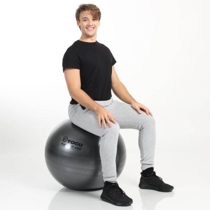 Powerball ABS — anthracite / 55cm
