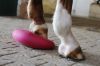 Horse Balance Pad — misty mountain