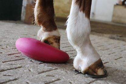 Horse Balance Pad — misty mountain