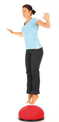 The Reduce Weight Set — 65 cm