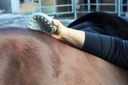 TOGU Horse Aktiv Set