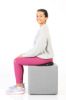 Cover for Airgo® Aktiv seat cushion