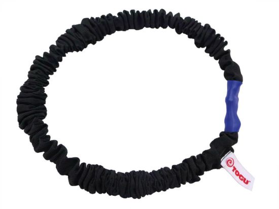 Theragym Tube Loop — strong / blue