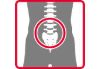 Lumbar Spine Set