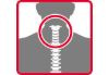Neck Set