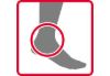 Ankle Joint Set