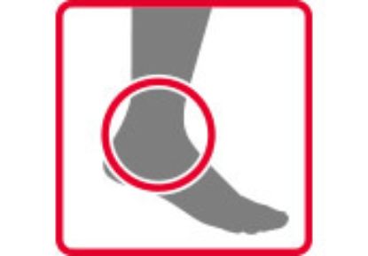 Ankle Joint Set