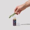 Deodorant Roll-On | Wild Life for Men*