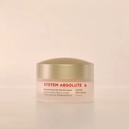 ANNEMARIE BÖRLIND Regenerating Night Cream 845