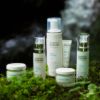 ANNEMARIE BÖRLIND Smoothing Day Cream